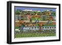 Black Frame