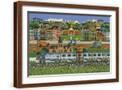 Brown Frame