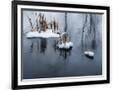 Gramercy Black