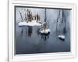 Gramercy White