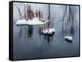Canvas Black