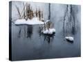 Stretched Canvas