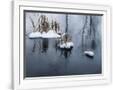 Gramercy White