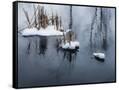 Canvas Black