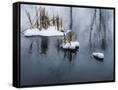 Canvas Black