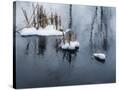 Stretched Canvas