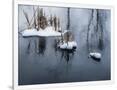 Gramercy White