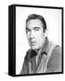 Anthony Quinn-null-Framed Stretched Canvas