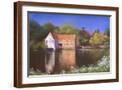 Brown Frame