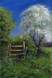 Springtime at St Mary'S, 2004-Anthony Rule-Giclee Print