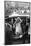 Anthony Steel and Anita Ekberg During their Wedding Day-Mario de Biasi-Mounted Photographic Print