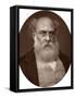 Anthony Trollope, Writer, 1878-Lock & Whitfield-Framed Stretched Canvas