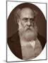 Anthony Trollope, Writer, 1878-Lock & Whitfield-Mounted Photographic Print