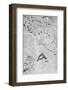 Anthrax Cultures, Historical Diagram-Science Photo Library-Framed Photographic Print