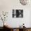 Anthropologist Dr. Margaret Mead Studying a Decorated Tchambul Skull-John Loengard-Premium Photographic Print displayed on a wall