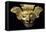 Anthropomorphic Gold Mask Originating from La Tolita-null-Framed Stretched Canvas