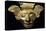 Anthropomorphic Gold Mask Originating from La Tolita-null-Stretched Canvas