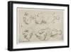 Anthropomorphic Heads of Men and Fish-Thomas Rowlandson-Framed Giclee Print