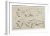 Anthropomorphic Heads of Men and Fish-Thomas Rowlandson-Framed Giclee Print