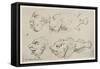 Anthropomorphic Heads of Men and Fish-Thomas Rowlandson-Framed Stretched Canvas