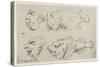 Anthropomorphic Heads of Men and Fish-Thomas Rowlandson-Stretched Canvas