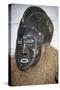 Anthropomorphic Ritual Mask, Cameroon-null-Stretched Canvas