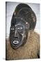 Anthropomorphic Ritual Mask, Cameroon-null-Stretched Canvas