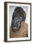 Anthropomorphic Ritual Mask, Cameroon-null-Framed Giclee Print