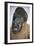 Anthropomorphic Ritual Mask, Cameroon-null-Framed Giclee Print