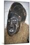 Anthropomorphic Ritual Mask, Cameroon-null-Mounted Giclee Print