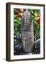 Anthropomorphic Tiki Sculpture-null-Framed Giclee Print