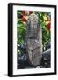 Anthropomorphic Tiki Sculpture-null-Framed Giclee Print