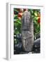 Anthropomorphic Tiki Sculpture-null-Framed Giclee Print