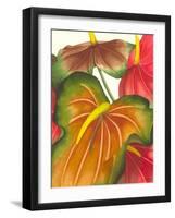 Anthuria I-Jason Higby-Framed Art Print