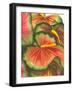 Anthuria II-Jason Higby-Framed Art Print