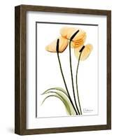 Anthurium Portrait-Albert Koetsier-Framed Art Print