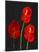 Anthurium-Deborah Barton-Mounted Giclee Print