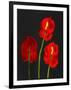 Anthurium-Deborah Barton-Framed Giclee Print