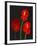 Anthurium-Deborah Barton-Framed Premium Giclee Print