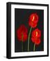 Anthurium-Deborah Barton-Framed Giclee Print