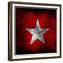 Anti Fascist Flag-igor stevanovic-Framed Premium Giclee Print