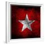 Anti Fascist Flag-igor stevanovic-Framed Premium Giclee Print