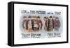 Anti Free Trade Postcard-null-Framed Stretched Canvas