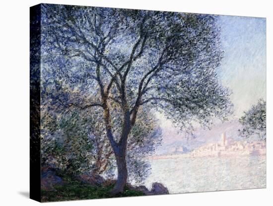 Antibes Seen from the Salis, 1888-Claude Monet-Stretched Canvas
