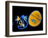 Antibiotic Action on Staphylococcus-null-Framed Photographic Print