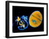 Antibiotic Action on Staphylococcus-null-Framed Photographic Print