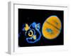 Antibiotic Action on Staphylococcus-null-Framed Photographic Print