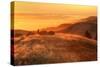 Anticipation of Sunset, Mount Tamalpais-Vincent James-Stretched Canvas