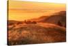 Anticipation of Sunset, Mount Tamalpais-Vincent James-Stretched Canvas