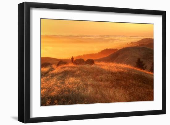 Anticipation of Sunset, Mount Tamalpais-Vincent James-Framed Photographic Print